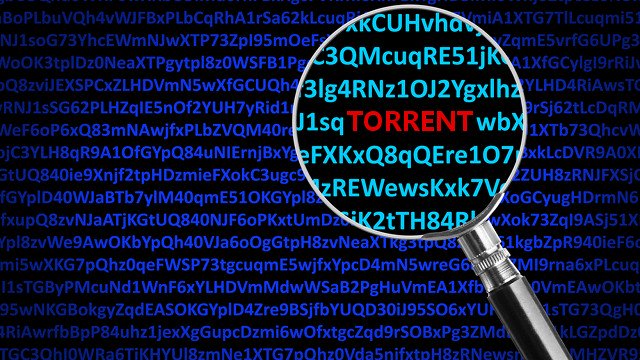 Descarga Torrents de forma segura y anónima con VPN